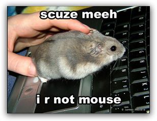 如何在Linux上为鼠标获取屏幕操作