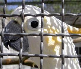 用Photowipe删除不需要的照片元素