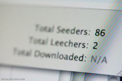 如何访问您的Torrent客户端并远程下载Torrent