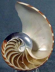 如何向Nautilus添加自定义功能[Linux]