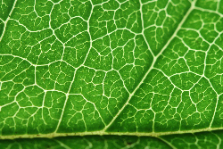 5个网站,帮助您变得更快乐