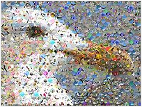 在几分钟内创建令人惊叹的照片马赛克