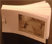 使用动画书打印机创建自己的动画书(仅Windows)