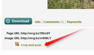 PictureParty Holiday:使用基于音乐和主题的框架(iOS)查看照片(20个免费许可证)