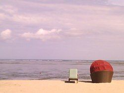 使用手机相机拍摄更好的数码照片的10个技巧