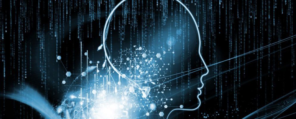 使用变形阶段在线创建逼真的面孔