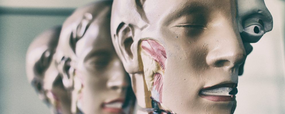 互动解剖学的6种最佳人体虚拟游览