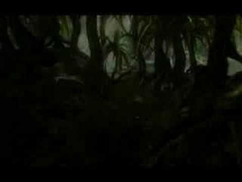 NeoSteam –蒸汽朋克维多利亚时代的幻想MMORPG游戏