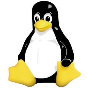 4个在Linux中编辑RAW照片的好工具
