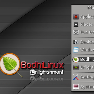 Bodhi Linux很漂亮，可以在非常旧的计算机上运行[Linux]