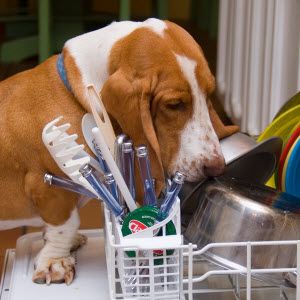 使用这2个功能强大的应用程序来解决您的家务事[Android]