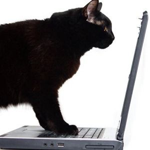 在不损失生产力的情况下预防与计算机相关的眼睛疲劳的4种方法