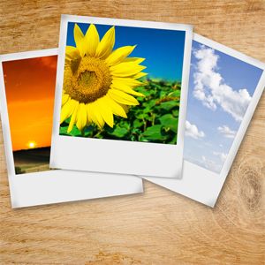 在计算机上花费太多时间? 5种将自然带入您的桌面的方法