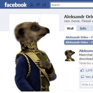 3个对我起作用的社交媒体活动