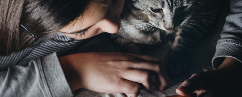 适用于iPad或Android平板电脑的7种Cat游戏