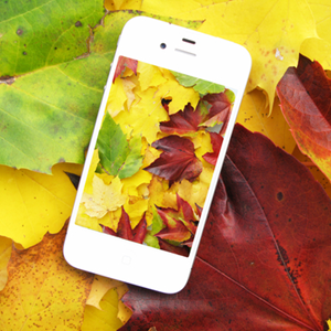 节省雨天：您真的应该尝试的6大Instagram替代方法[Android＆iOS]