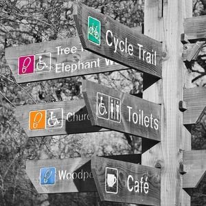 彩色触摸效果使您的照片充满色彩[Android 2.1+]