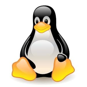 Linux令人困惑吗?这是您需要知道的关键术语