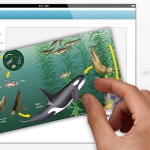 适用于学校的10个优秀iPad应用程序