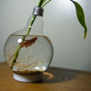 10大怪胎技巧:重新利用日常物品并充分利用电子设备