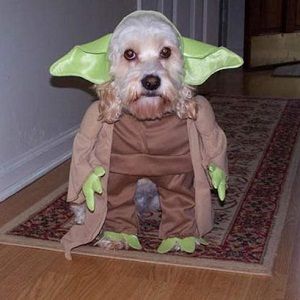 10个很棒的网络漫画专为极客而生