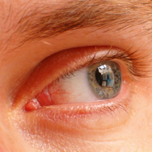 苹果视网膜显示屏如何工作？ [MakeUseOf说明]