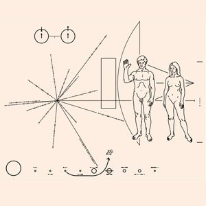 10种创建信息图表的最佳工具