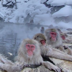 通过这些Google Earth网站发现下颚视图并体验自然