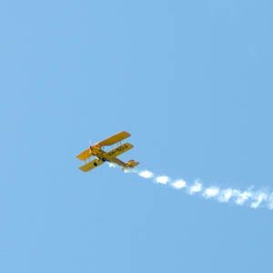 可以挽救或摧毁社会的技术及其对网络的启示