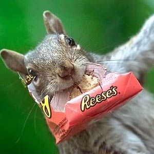 您不会相信的8种有趣的具体建议