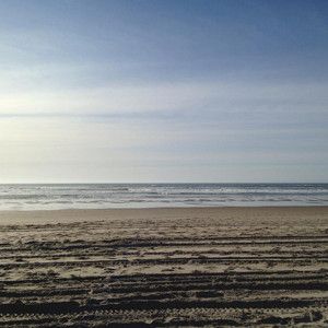 5个计划前往海滩旅行的基本网站