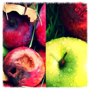 如何发现iPhony! GooPhone和iPhone一样好吗?