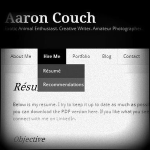 建立自己的网站:您的职业生涯稍后会感谢您