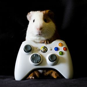 学习术语:您应该知道的常见游戏术语