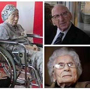 使用Geni在线制作自己的免费家谱