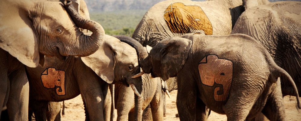 备份Evernote的3种方法（您需要吗？）