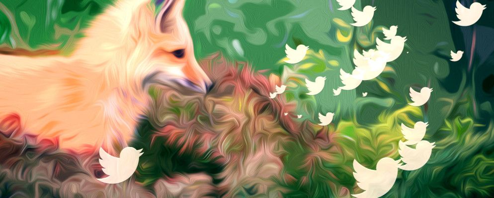 3个不可忽略的Firefox附加Twitter