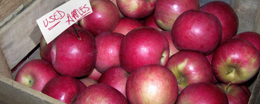 您应该为二手iPhone买什么?