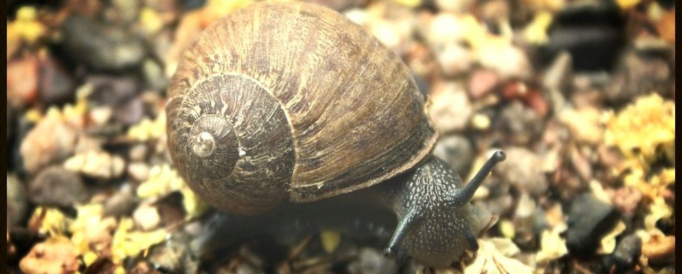 如何修复Android不良的性能和糟糕的设计