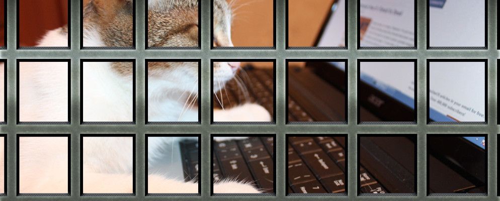 在监狱中保留在线状态的3种方法