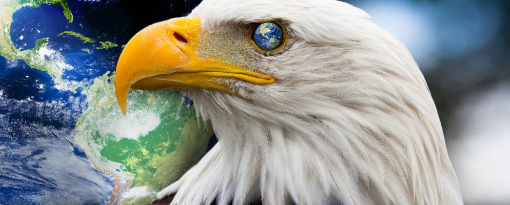 什么是棱镜?您需要知道的一切