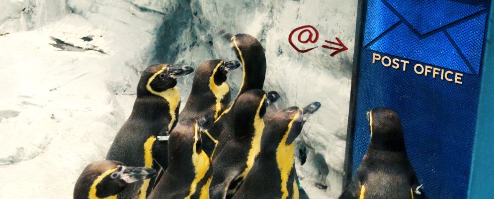 比较Linux桌面电子邮件客户端:Thunderbird,Evolution,KMail,Claws Mail