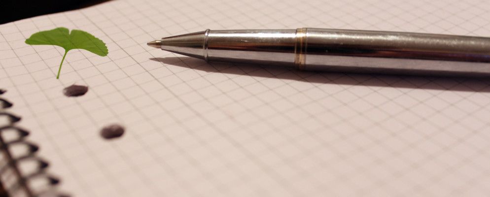 银杏:在线文字处理器可以改变您的书写方式