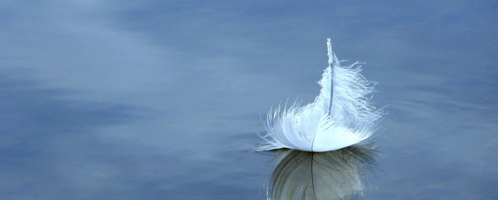 击败膨胀！尝试这些轻量级BitTorrent客户端