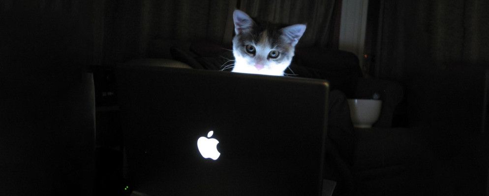 谁在背后使用Mac?找出!