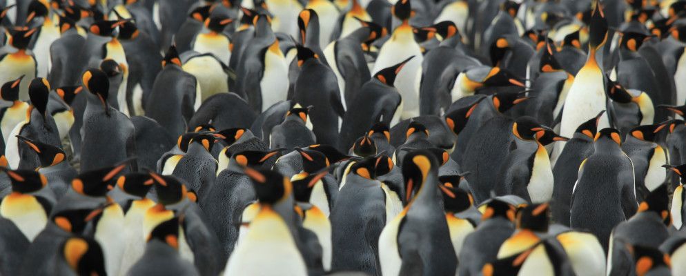 Thunar与Nautilus:两个适用于Linux的轻量级文件管理器