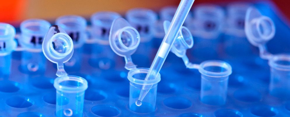 帮助您的好奇孩子了解日常用品科学