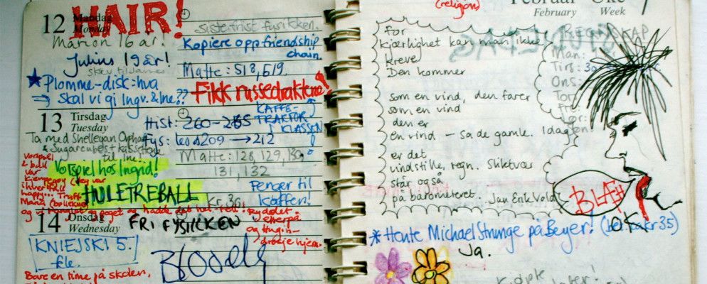 3种适用于iPad和iPhone的独特日记和日记应用