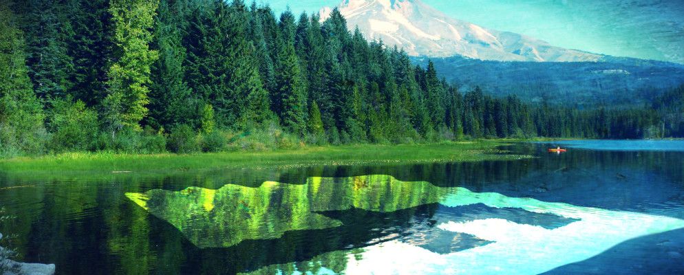 5个很棒的Facebook网页,可以娱乐,教育和启发