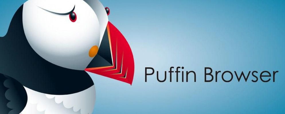 使用海雀浏览器在iPhone和iPad上播放Flash内容